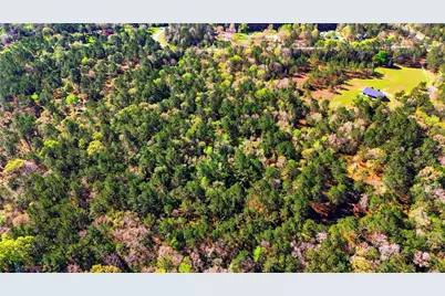 21223 Peach Wood, Cleveland, TX 77328 - Photo 9