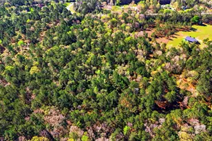 21223 Peach Wood, Cleveland, TX 77328 - Photo 9