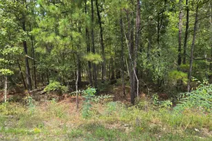 0123 Ashridge Dr, Brookeland, TX 75931 - Photo 1