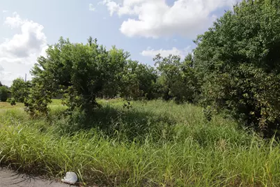 1202 Vera Lou Street, Houston, TX 77051 - Photo 5