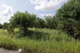 1202 Vera Lou St, Houston, TX 77051 - Photo 5