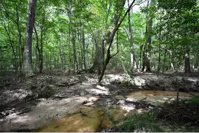 Tbd County Road 2150, Woodville, TX 75979 - Photo 7