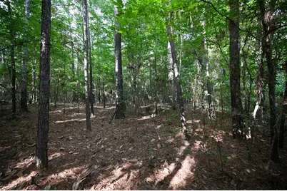 Tbd County Road 2150, Woodville, TX 75979 - Photo 11