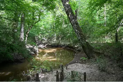 Tbd County Road 2150, Woodville, TX 75979 - Photo 1