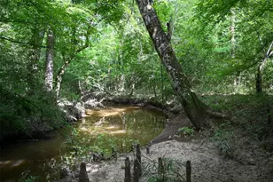 Tbd County Road 2150, Woodville, TX 75979 - Photo 1