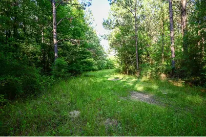 Tbd County Road 2150, Woodville, TX 75979 - Photo 9