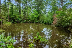 15255 Abc Rogers Rd, Willis, TX 77378 - Photo 9