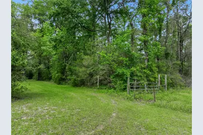 15255 Abc Rogers Road, Willis, TX 77378 - Photo 7