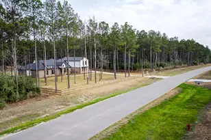 15640 Frst Grv Dr, Willis, TX 77378 - Photo 47