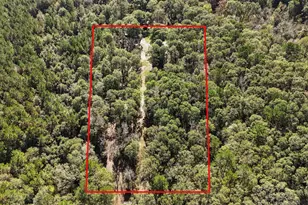 595 Andrew Jackson Dr, Livingston, TX 77351 - Photo 27