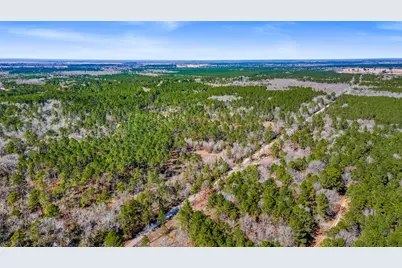 Tbd Bo Brown, Trinity, TX 75862 - Photo 5