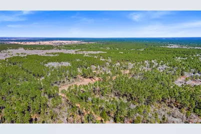 Tbd Bo Brown, Trinity, TX 75862 - Photo 3