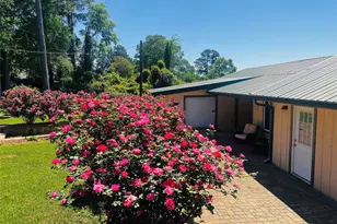 202 Tipperary Dr, Milam, TX 75959 - Photo 5