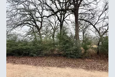 Tbd Wannabe Road, Bryan, TX 77808 - Photo 1