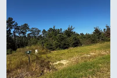 15279 Rubicon Road, Willis, TX 77378 - Photo 3