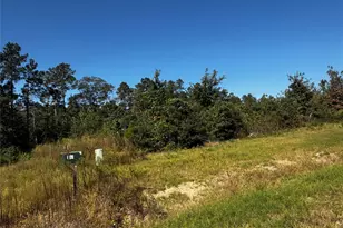 15279 Rubicon Rd, Willis, TX 77378 - Photo 3