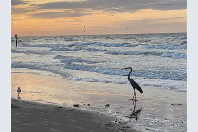 7000 Seawall Blvd Boulevard #414, Galveston, TX 77551 - Photo 21