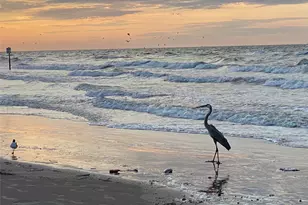 7000 Seawall Blvd Blvd, Galveston, TX 77551 - Photo 21