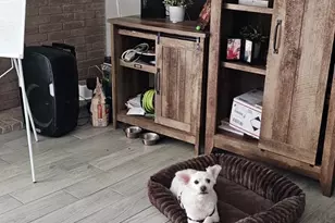 6171 Dryad Dr, Houston, TX 77035 - Photo 31