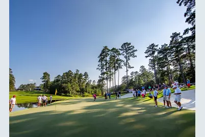 Tbd6 Lily Bean Road, Montgomery, TX 77316 - Photo 21