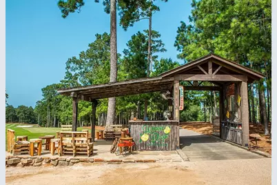 Tbd6 Lily Bean Road, Montgomery, TX 77316 - Photo 29