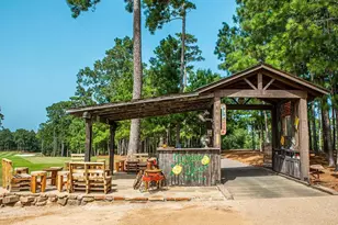 Tbd6 Lily Bean Rd, Montgomery, TX 77316 - Photo 29