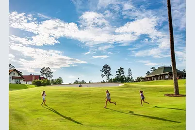 Tbd6 Lily Bean Road, Montgomery, TX 77316 - Photo 19