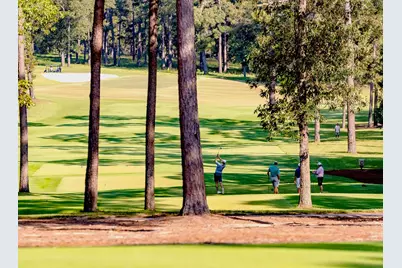 Tbd6 Lily Bean Road, Montgomery, TX 77316 - Photo 23