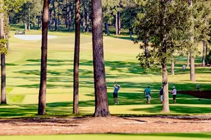 Tbd6 Lily Bean Rd, Montgomery, TX 77316 - Photo 23