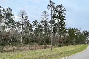 Tbd6 Lily Bean Rd, Montgomery, TX 77316 - Photo 1