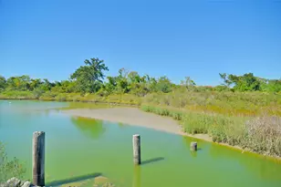 4513 S Flamingo Dr, Seabrook, TX 77586 - Photo 35