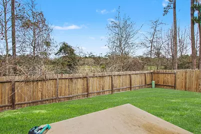 22622 Steel Blue Jaybird Drive, Hockley, TX 77447 - Photo 21