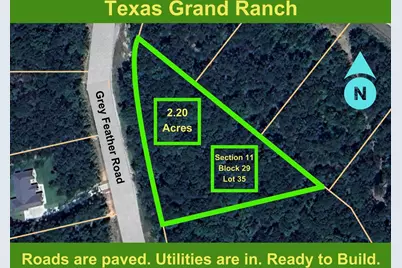 11-29-35 Grey Feather Road, Huntsville, TX 77340 - Photo 1
