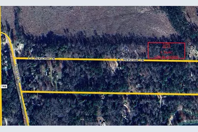 0000 L C Herschap Lane, Livingston, TX 77351 - Photo 3