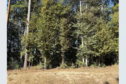 0000 L C Herschap Lane, Livingston, TX 77351 - Photo 1