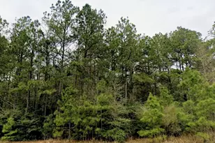 15588 Intrepid Ln, Willis, TX 77378 - Photo 1