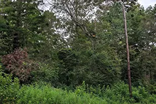 Tbd North Essex Dr, Conroe, TX 77302 - Photo 7