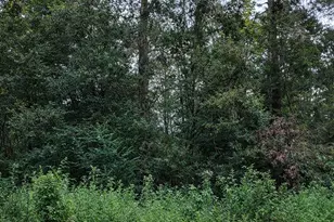 Tbd North Essex Dr, Conroe, TX 77302 - Photo 9