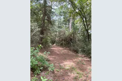 0000 Evergreen Lot 1 Fm 362 Road, Waller, TX 77484 - Photo 13