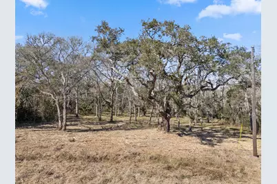 11 River Hollow Way, Blessing, TX 77419 - Photo 5