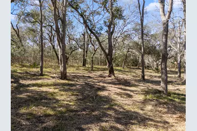 11 River Hollow Way, Blessing, TX 77419 - Photo 3