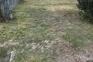 7001 S Hall St, Houston, TX 77028 - Photo 3