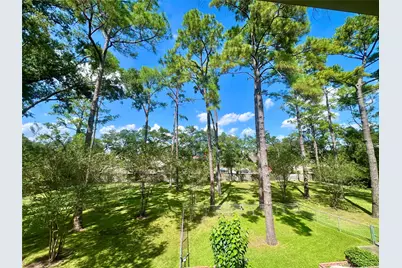 11530 N Lou Al Drive, Houston, TX 77024 - Photo 49