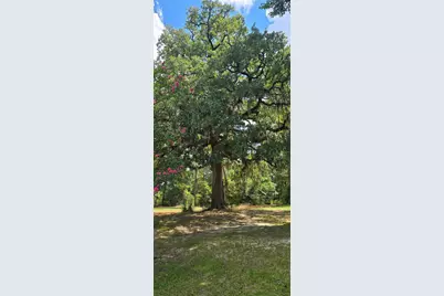 2266 Young Road, Livingston, TX 77351 - Photo 13