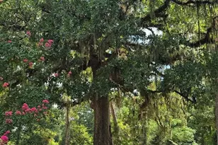 2266 Young Rd, Livingston, TX 77351 - Photo 13