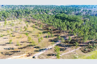Lot 19 Big Buck Drive, Moscow, TX 75960 - Photo 5