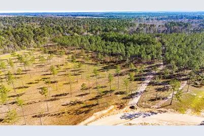 Lot 19 Big Buck Drive, Moscow, TX 75960 - Photo 3
