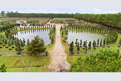 28287 Hegar Road, Hockley, TX 77447 - Photo 3