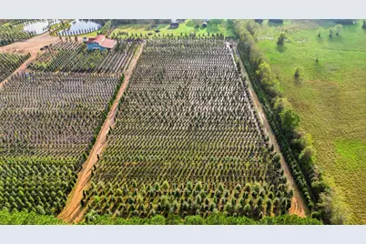 28287 Hegar Road, Hockley, TX 77447 - Photo 13