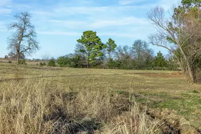 6622 County Road 360, Buffalo, TX 75831 - Photo 43